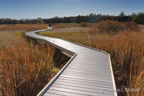 Marsh Boardwalk_09179.jpg - Photographed at Presqu'ile Provincial Park near Brighton, Ontario, Canada.